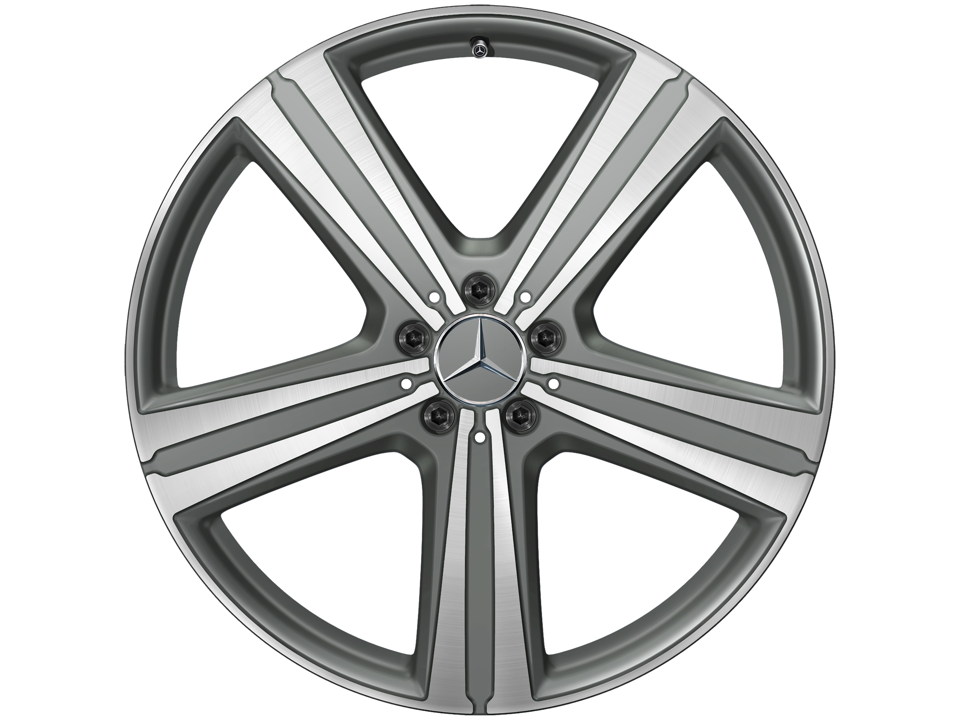 5-spoke wheel, 53.3 cm (21-inch), High-sheen finish - 11 J x 21 ET 49, matt himalaya grey, high-sheen