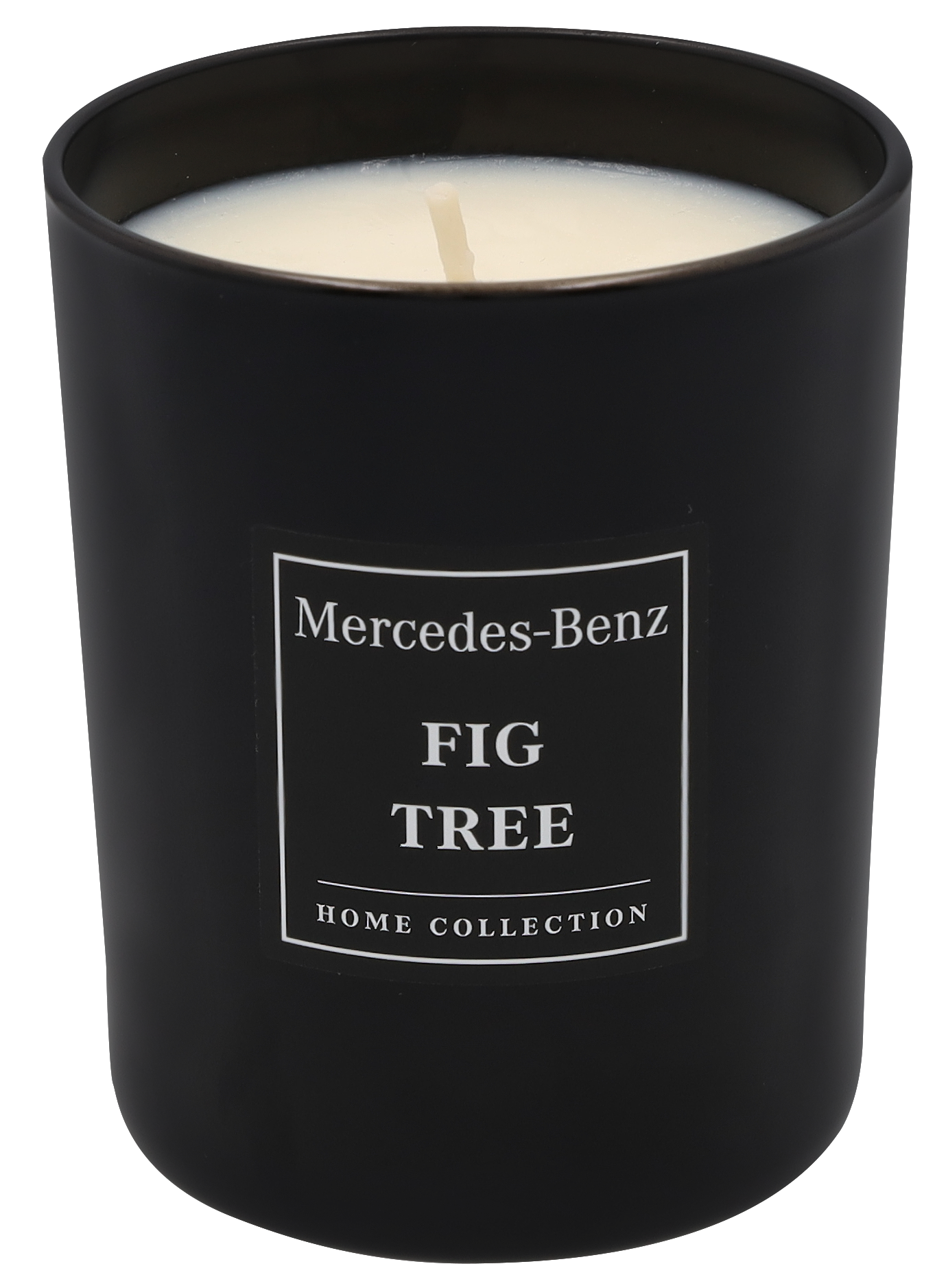 Duftkerze, Fig Tree, 180 g - INCC